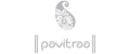 Pavitraa