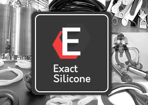 Exactsilicone